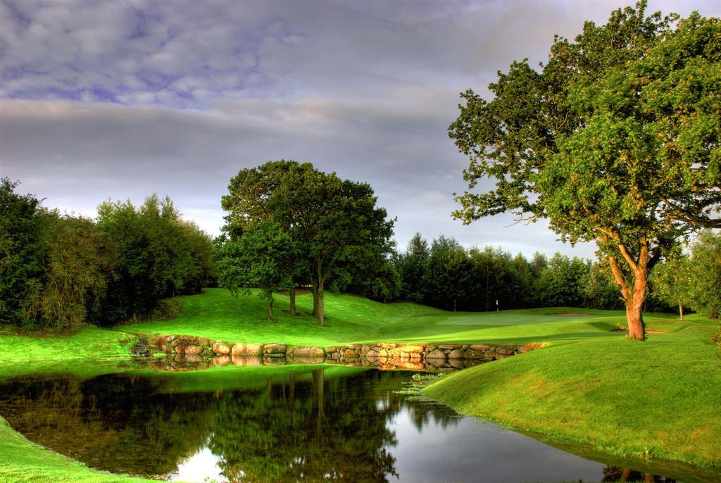 Mount Wolseley Hotel Spa & Golf Resort Tullow Εξωτερικό φωτογραφία