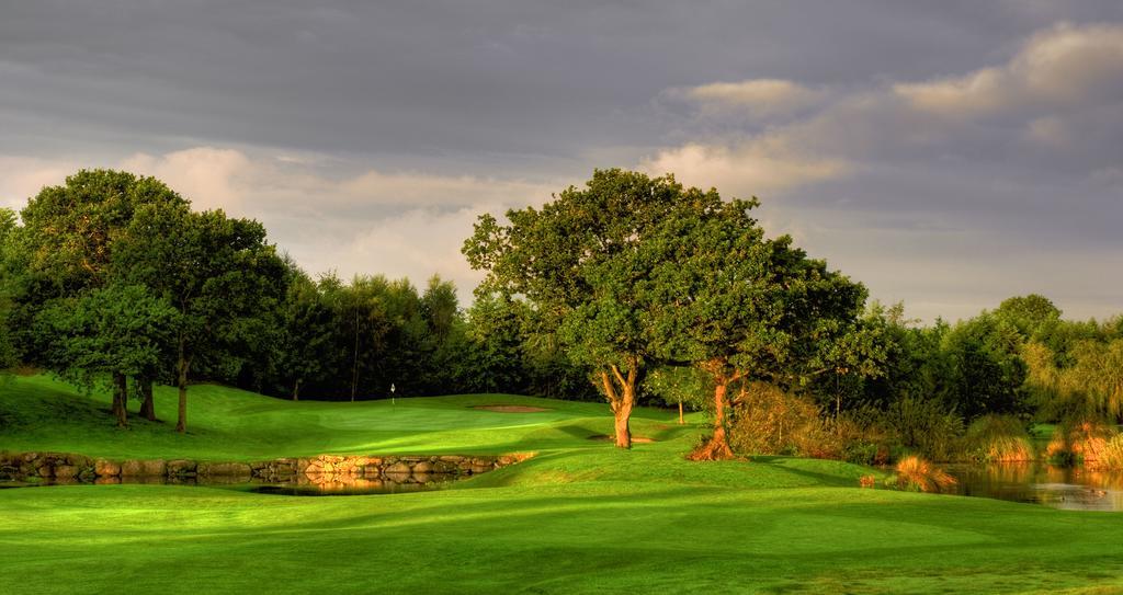 Mount Wolseley Hotel Spa & Golf Resort Tullow Εξωτερικό φωτογραφία